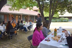 DSC_0110-Copy