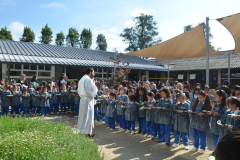 3-Copy
