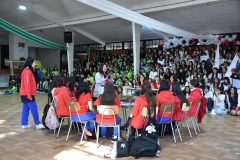 17-Copy