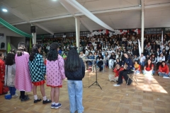 71-Copy