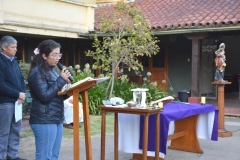 DSC_0309-Copy