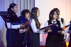 15-Copy