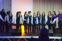 17-Copy