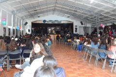 49-Copy