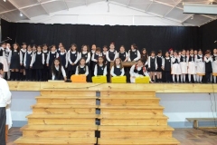 19-Copy