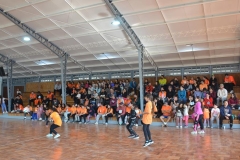 24-Copy
