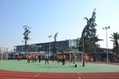 42-Copy