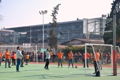 43-Copy