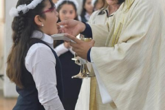33-Copy