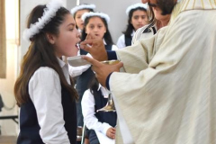47-Copy