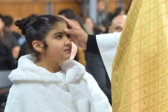 146-Copy