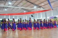 46-Copy