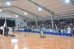 17-Copy
