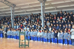 19-Copy