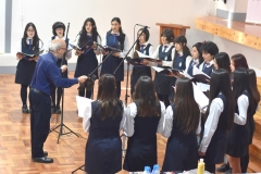 7-Copy