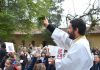 Celebramos a San Francisco de Asís