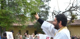 Celebramos a San Francisco de Asís